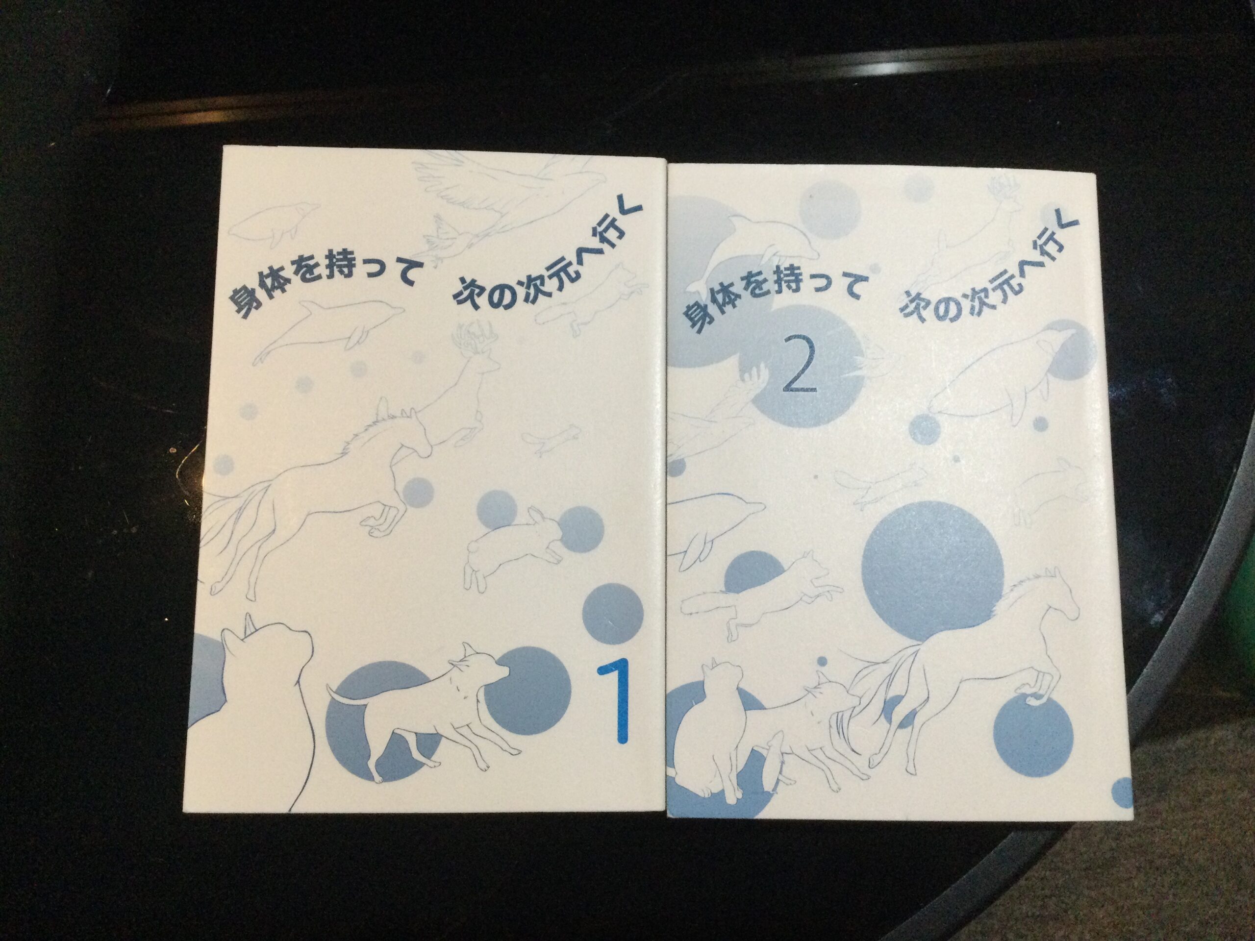 【身体を持って次の次元へ行く】読んで使ってみたこと